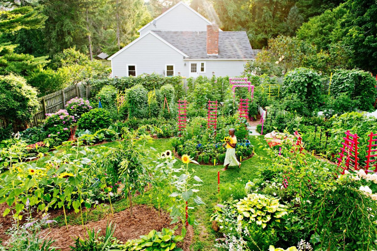 Celebrating Earth Day. Let's Start Gardening!